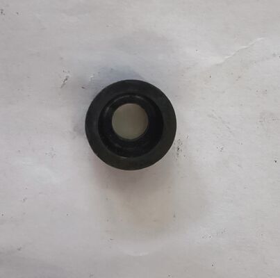 495AG Diesel Engine Valve Seal (Oil Caching Ring) Spare Part 495A-01052 1kg Made in China