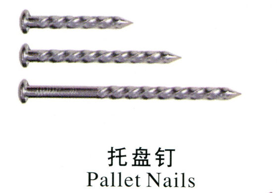 All Kinds of Nails