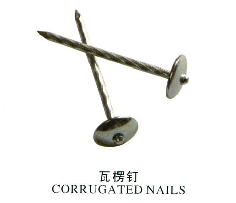 All Kinds of Nails