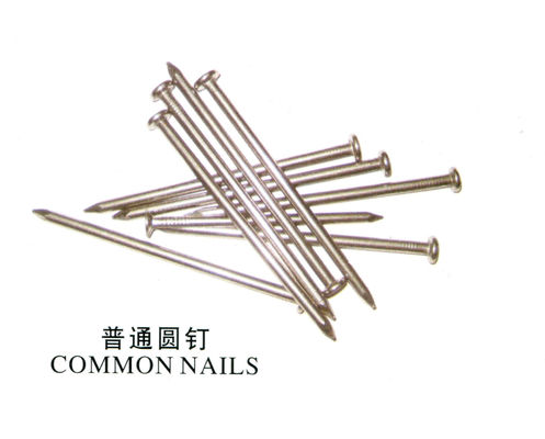 All Kinds of Nails