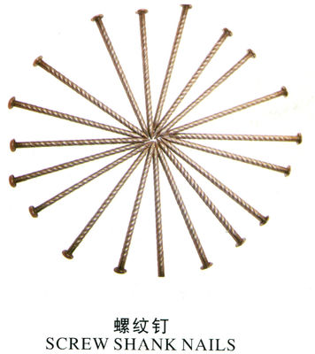 All Kinds of Nails